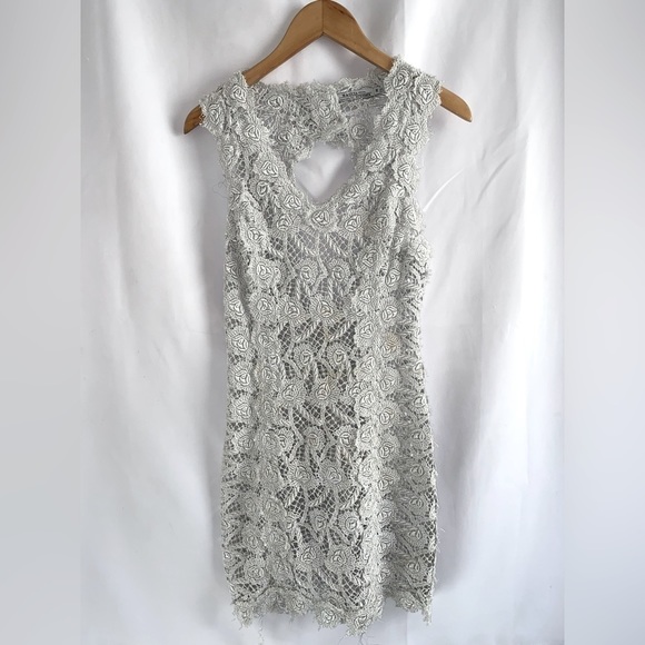 M & Guia Brazil Silver Gray Metallic Embroidered Lace with Cutout Back Dress - Picture 5 of 12